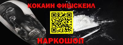 крисы Славгород