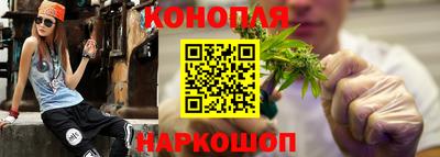 крисы Славгород