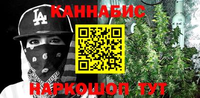 крисы Славгород