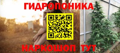 крисы Славгород