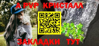 крисы Славгород