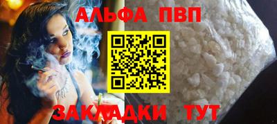 крисы Славгород