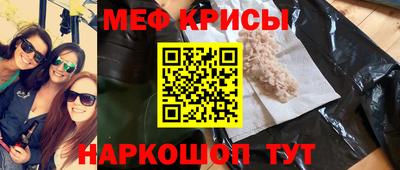 крисы Славгород