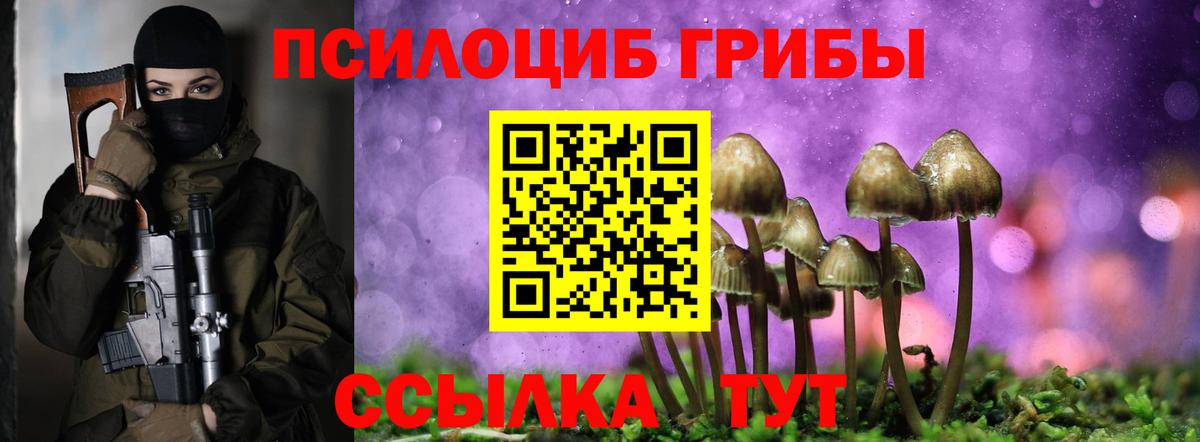 Псилоцибиновые грибы MAGIC MUSHROOMS Прохладный